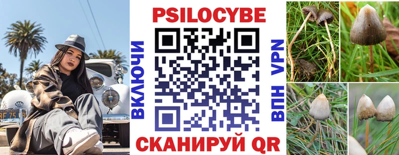 закладка hydra tor Галлюциногенные грибы Cubensis дарк нет какой сайт Гатчина