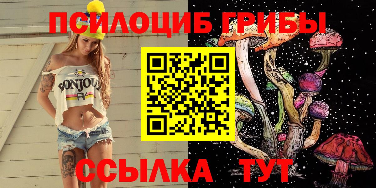 Галлюциногенные грибы Cubensis  Вход с VPN  Гатчина 
