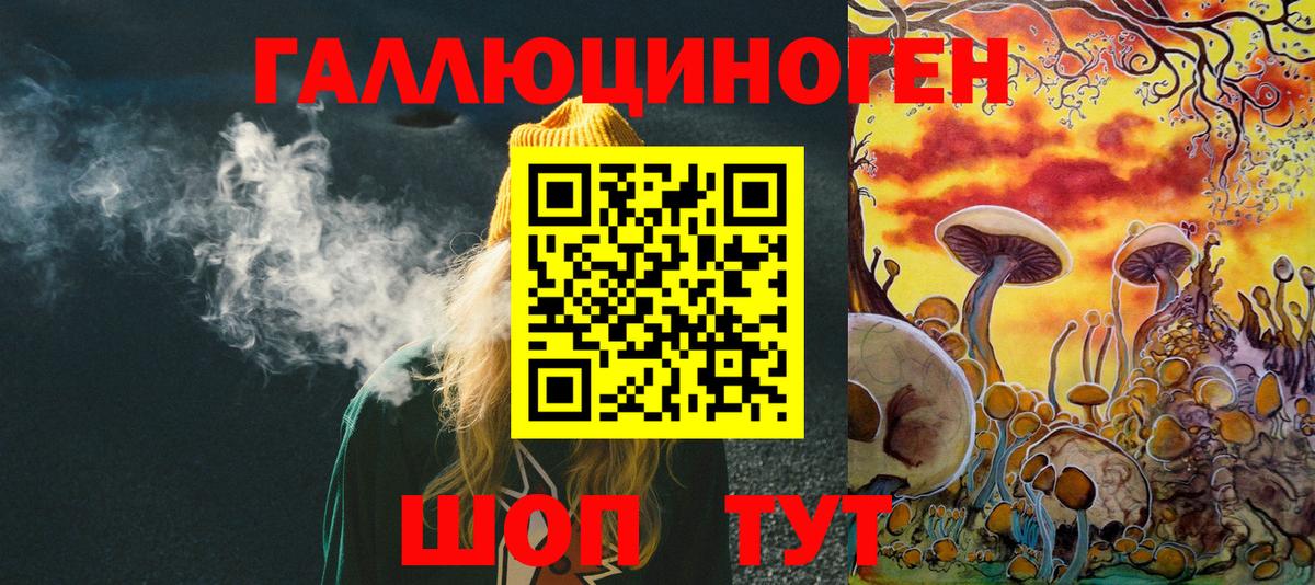 Псилоцибиновые грибы Psilocybe Гатчина
