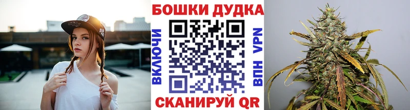 Конопля OG Kush Гатчина